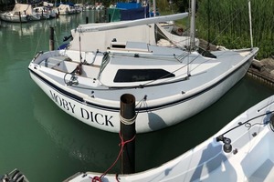 Regina 30 Moby Dick